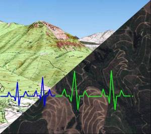 Monitoring sanitary state