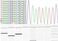 DNA Sequences