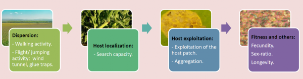 phenotypage